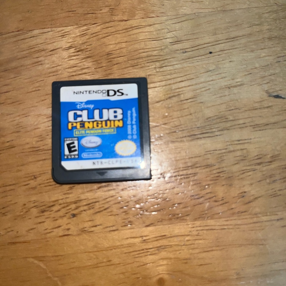 DS game